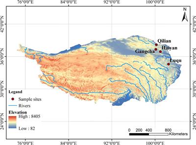 Consequences of plateau pika disturbance on plant-soil carbon and nitrogen in alpine meadows